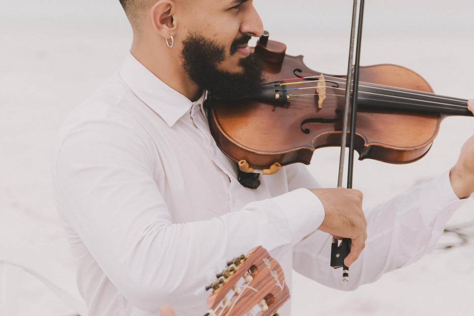 Violino