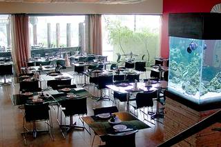 Yoko Japanese Food