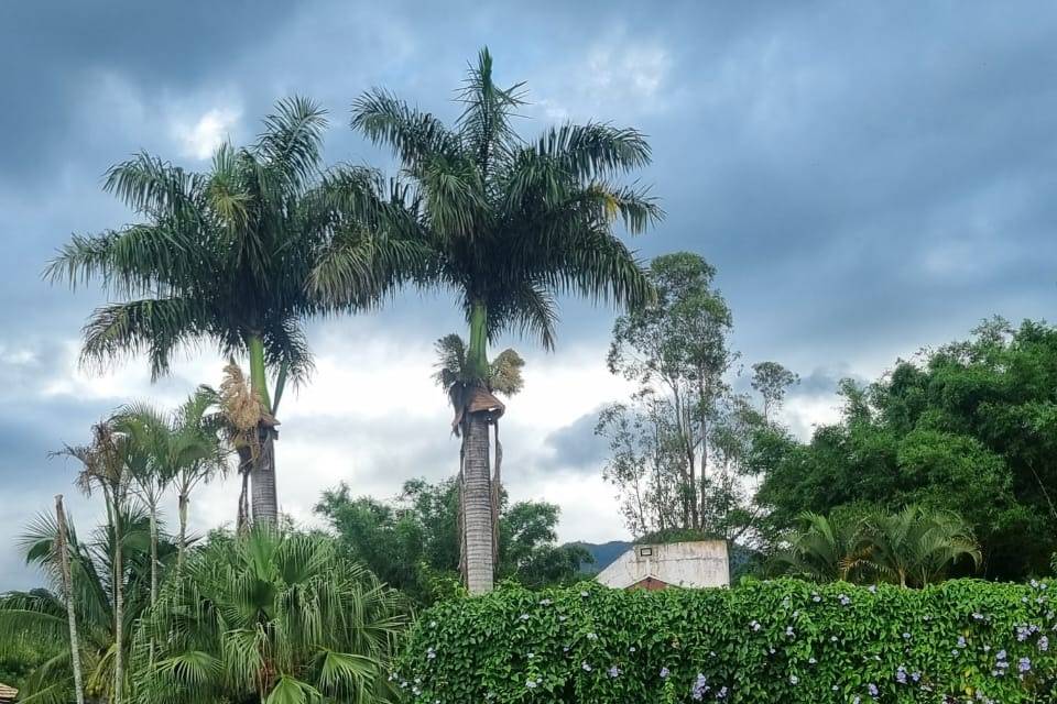 Imerso a natureza