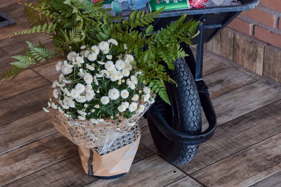 Decoração