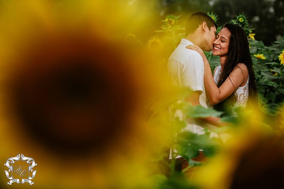 Vagner Câmara Fotografias