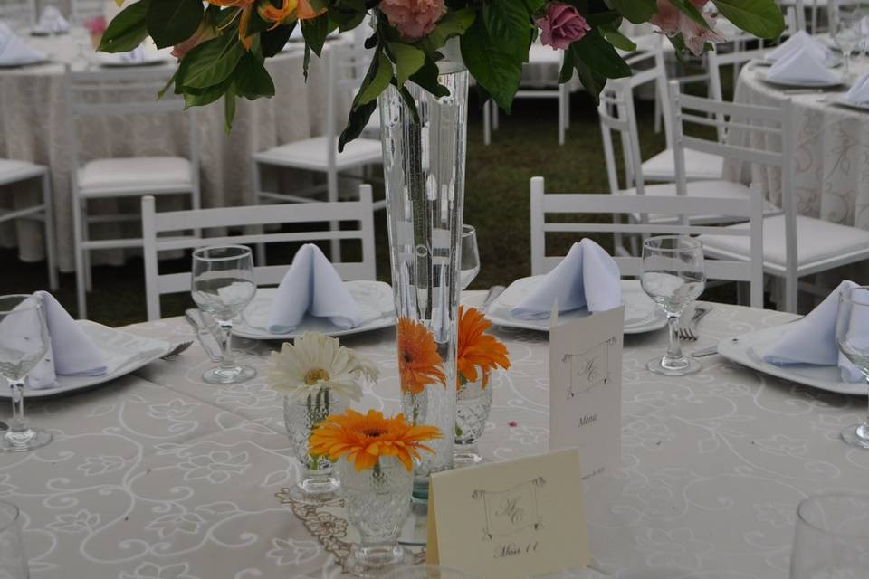 Casamento Aline e Cacá