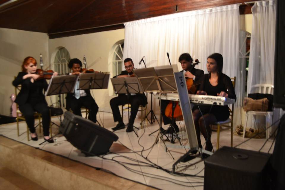 Quarteto de cordas