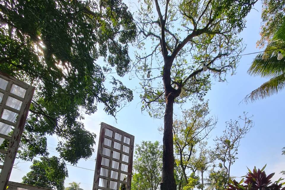 Cerimônia