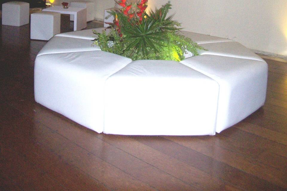 Plantas decorativas