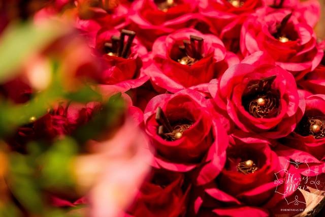 Flores de Maio Forminhas Luxo