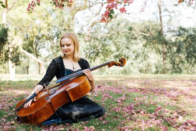 Violoncelo