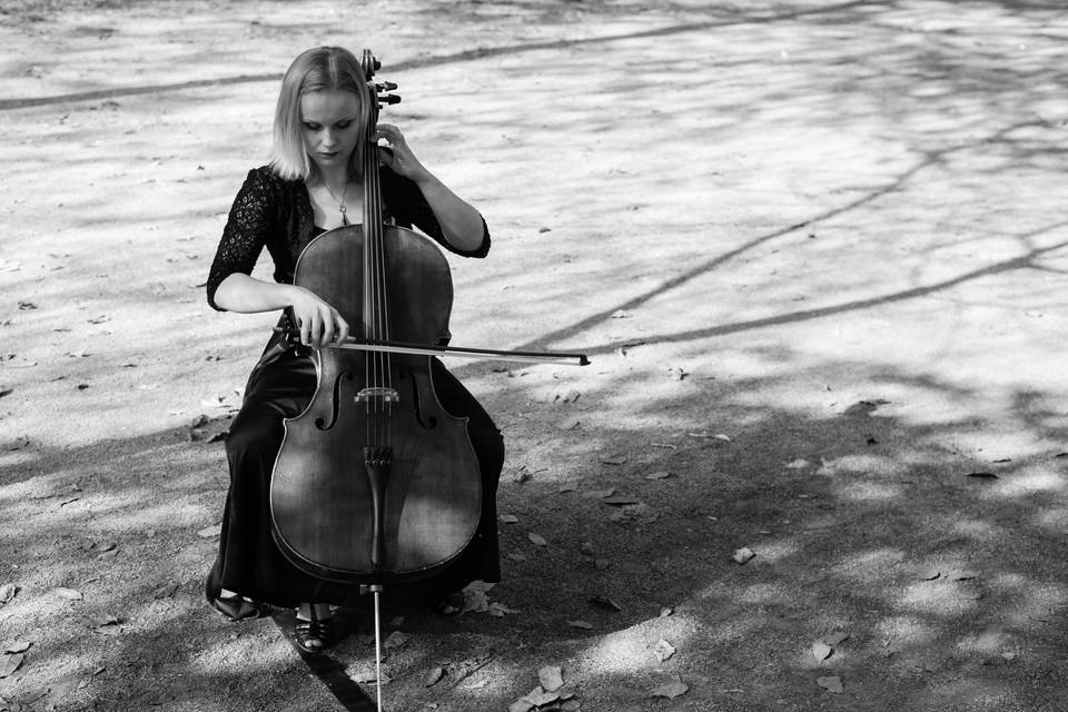 Violoncelo