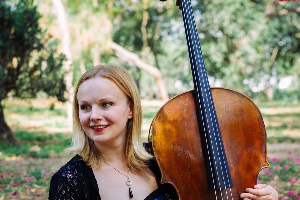 Violoncelo