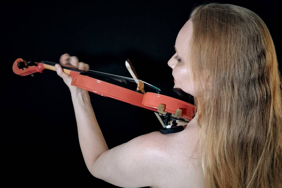 Violino