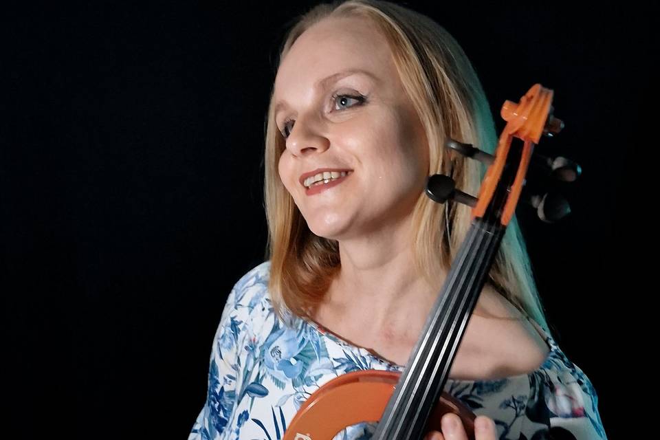 Violino
