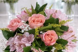 Celebrar Flores Oficial