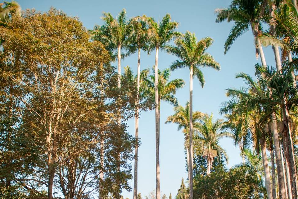 Fazenda Santa Barbara