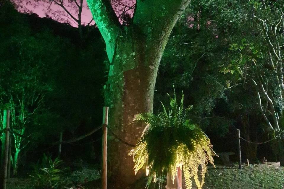 Fim de tarde
