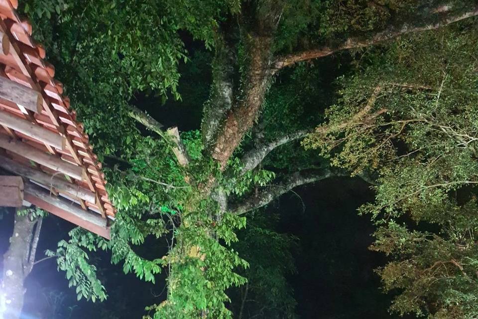 Escada da noiva