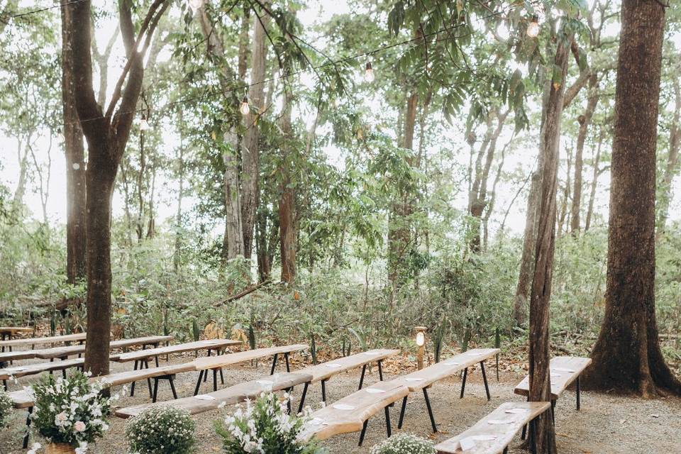 Casamento na Floresta