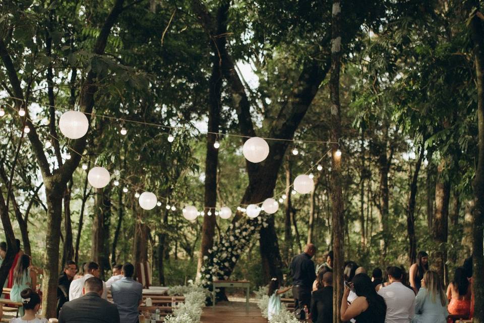 Casamento na Floresta