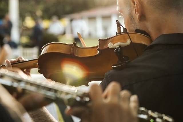 Violinista