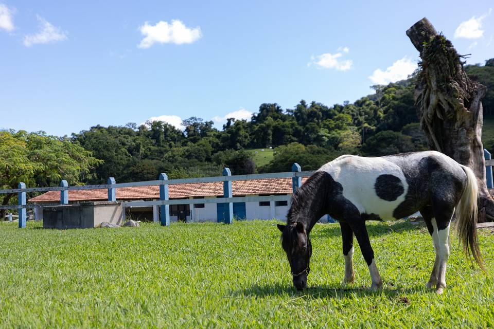 Hotel Fazenda Ponte Alta