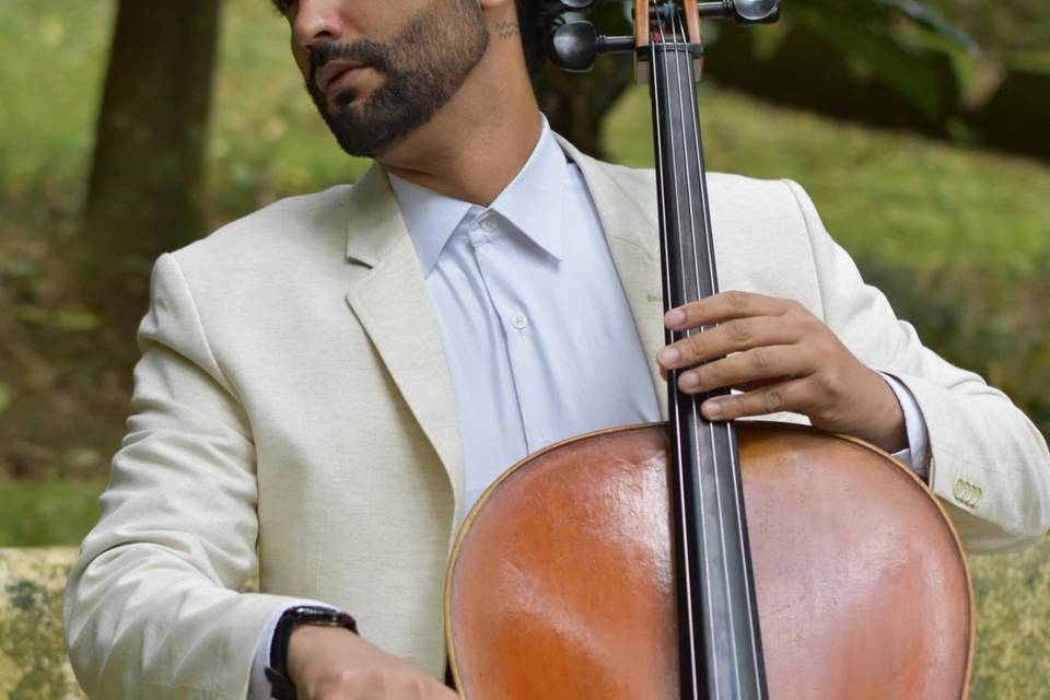 Violoncelo