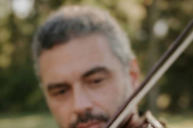 Violino
