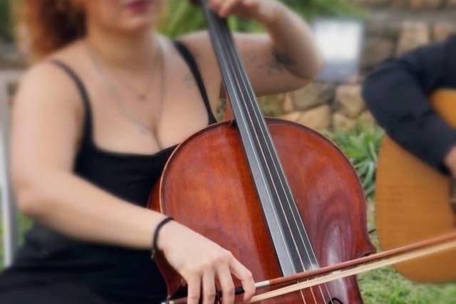 Violoncelo