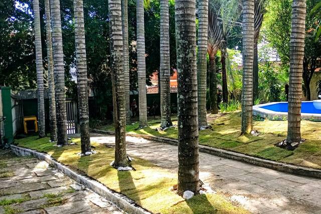 Entrada, Jardim e Fonte