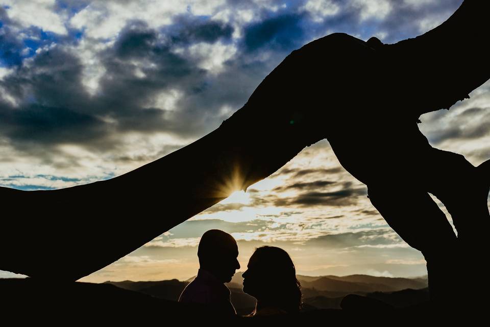 Gil Tavares Fotografia