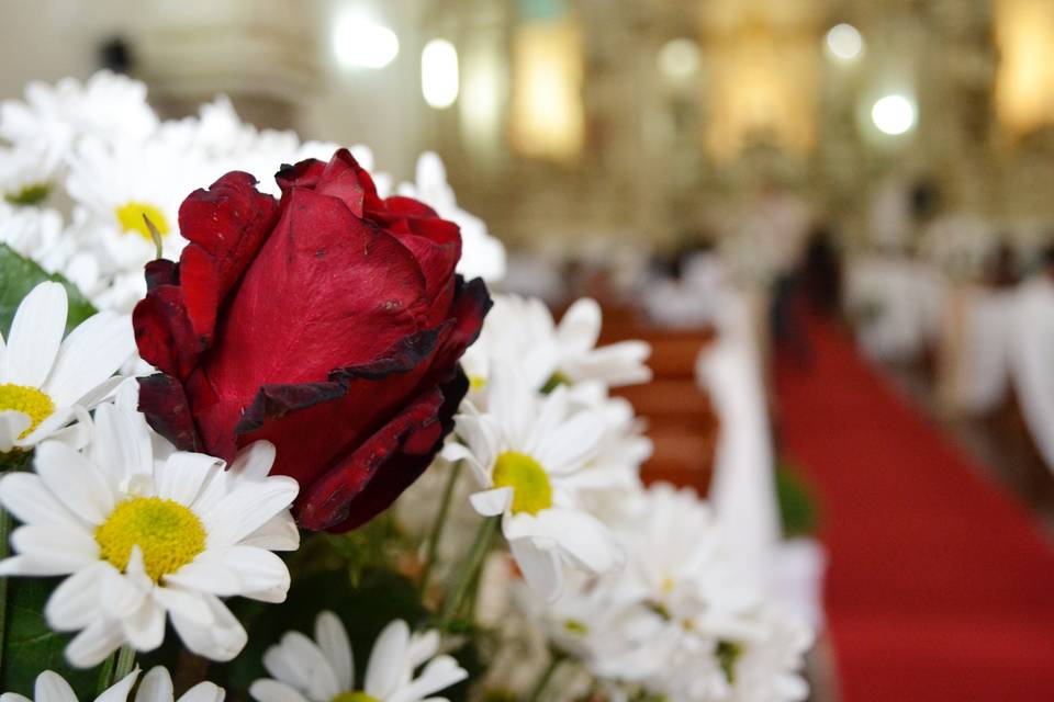 Jordania Machado Fotografia