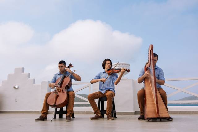 Trio de harpa, violino e cello