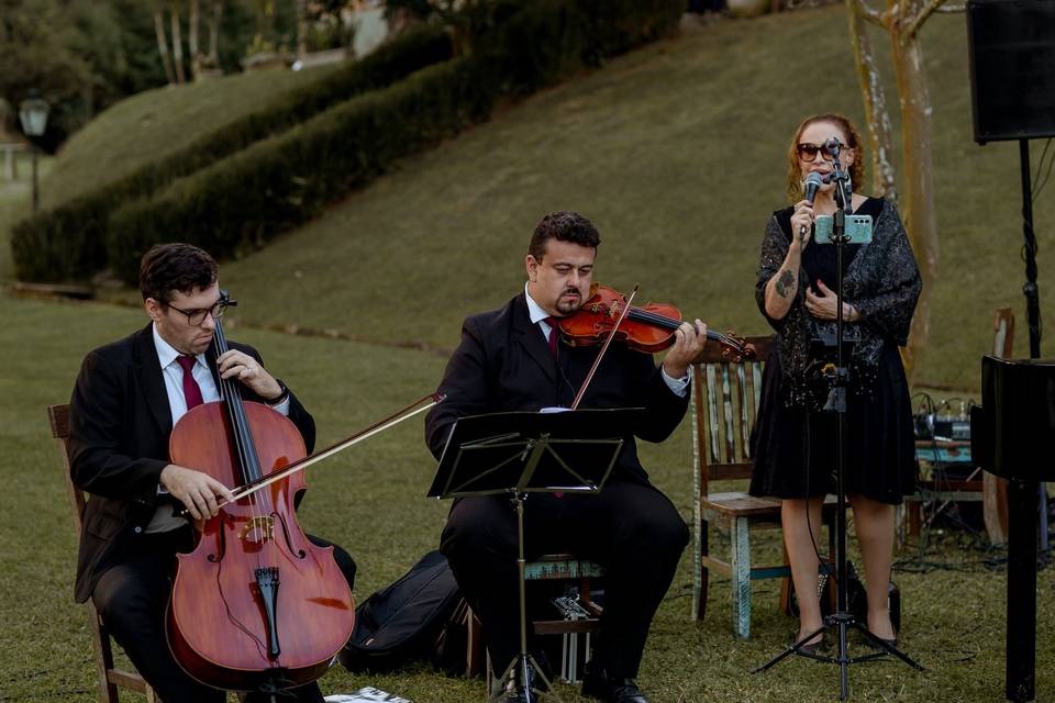 Cerimonialista de Casamento
