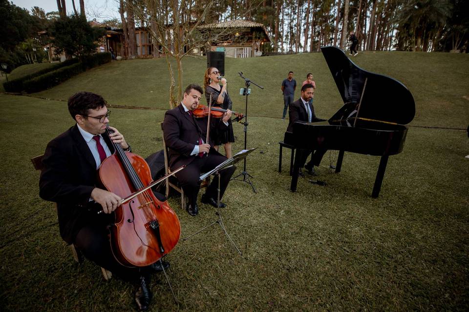 Cerimonialista de Casamento