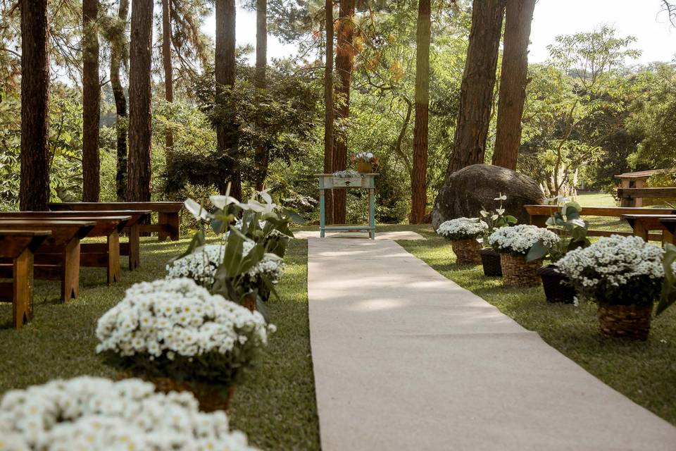 Cerimonialista de Casamento