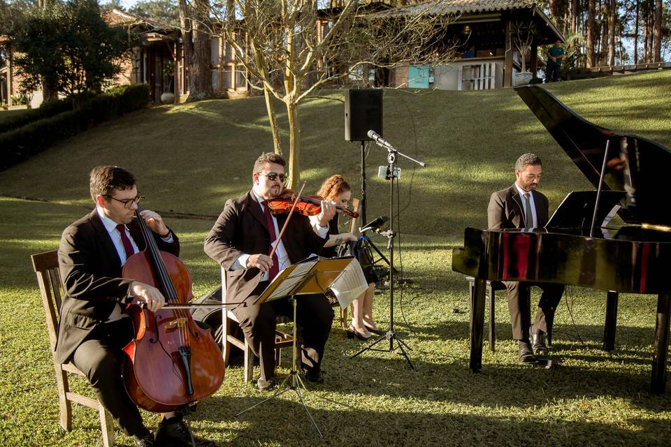 Cerimonialista de Casamento