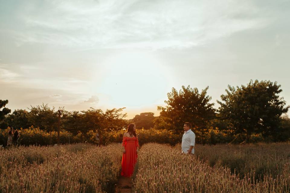 Paloma e Rodrigo