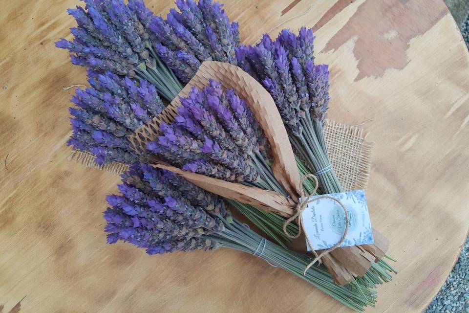 Lavanda Flor Viva Buquê