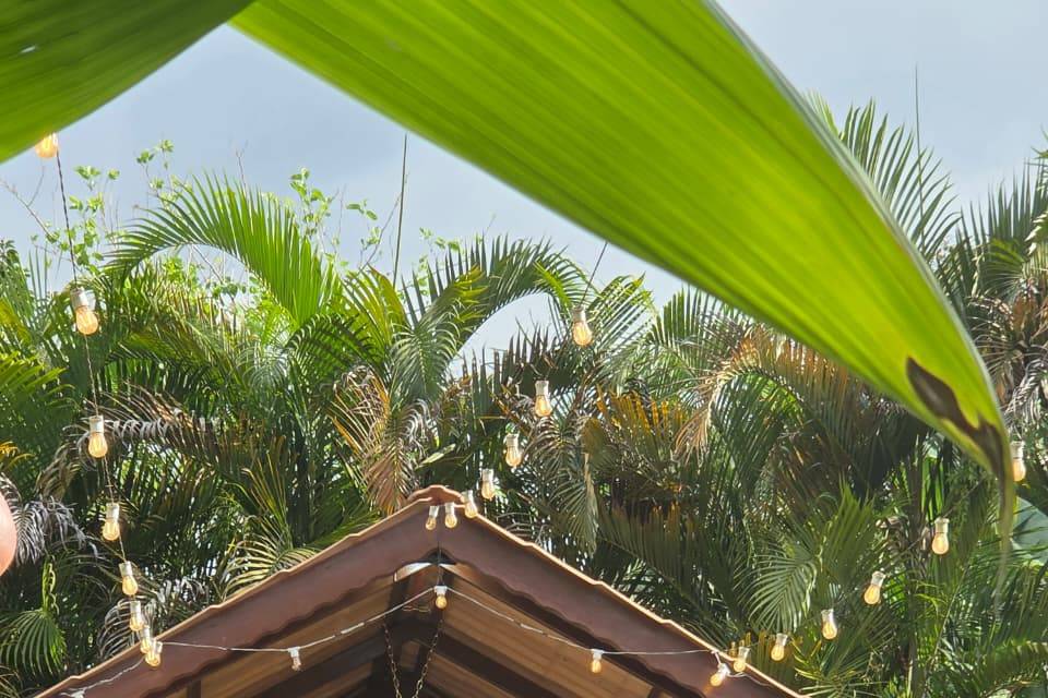 Casamento-02-05-2026