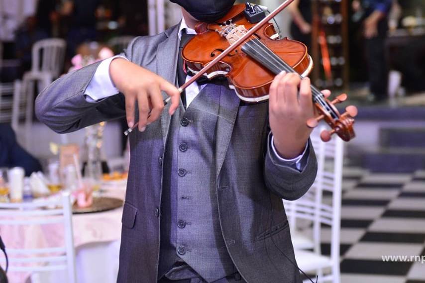 Violino festa