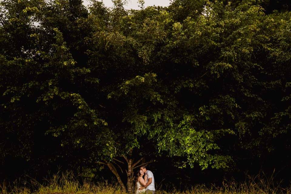 Trash the dress