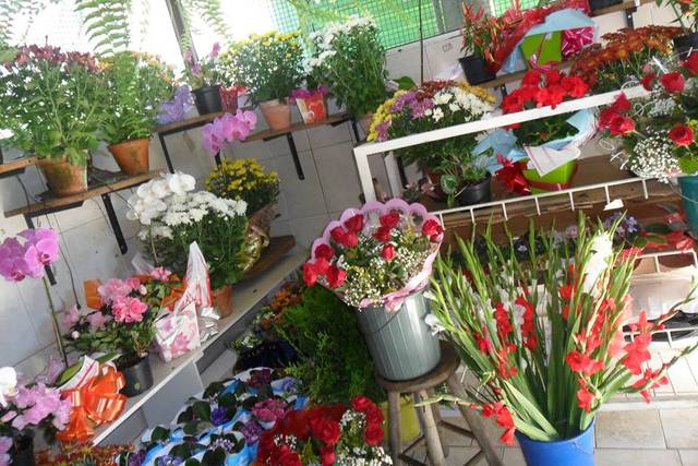 Delicadeza e profissionalismo