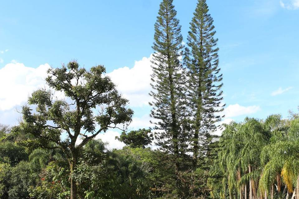 Decoração de casamento em SP