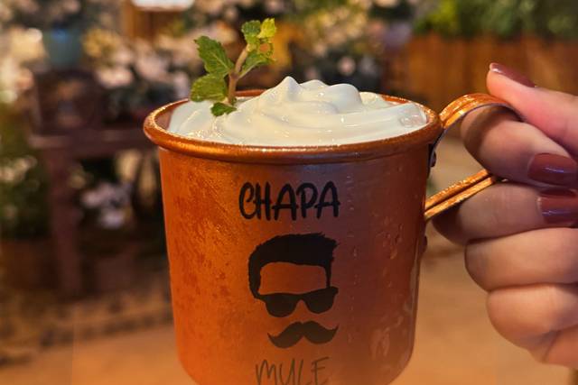CHAPA MULE