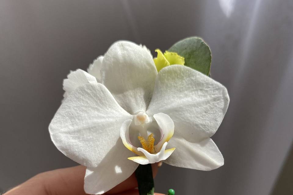 Lapela Orquídea