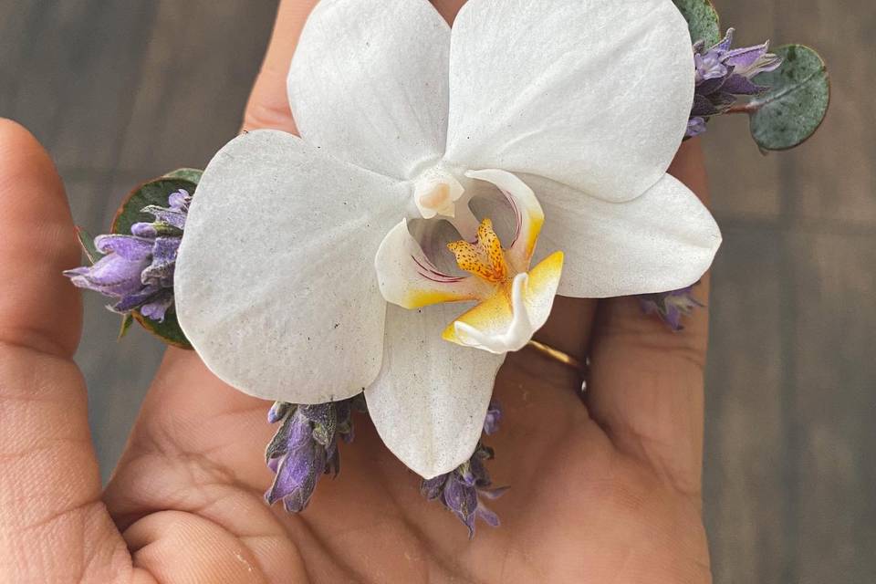 Lapela pequena orquídea