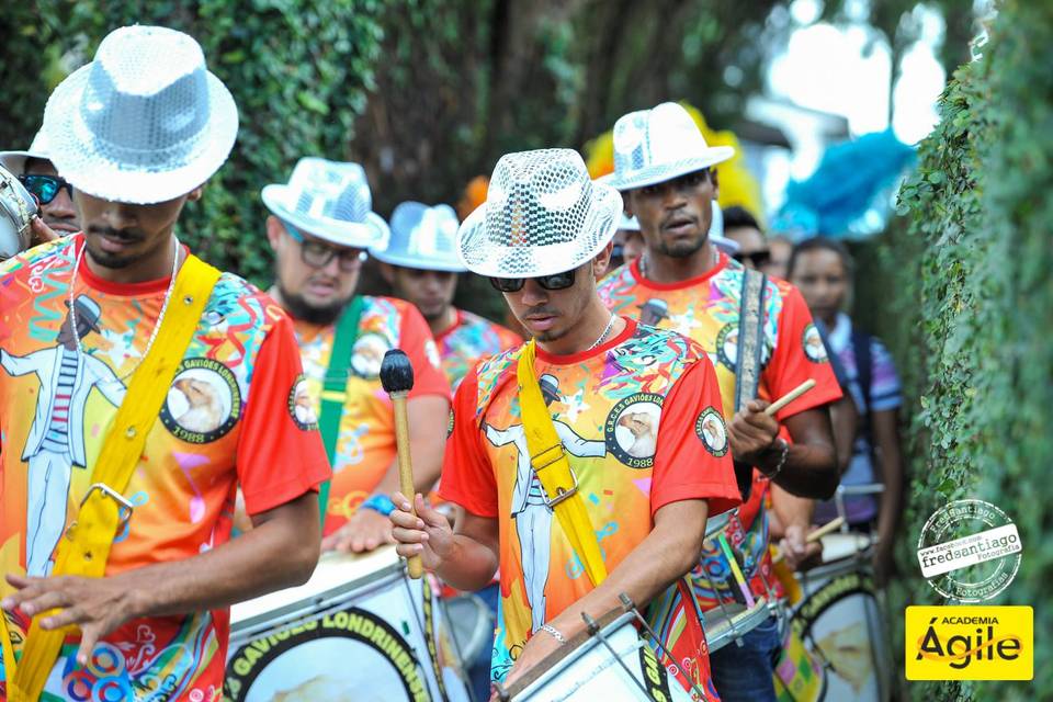 Escola de Samba Gaviões Londrinense