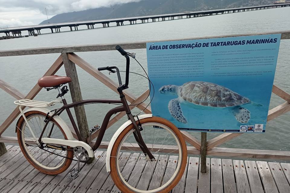 Bicicleta simples com cadeado