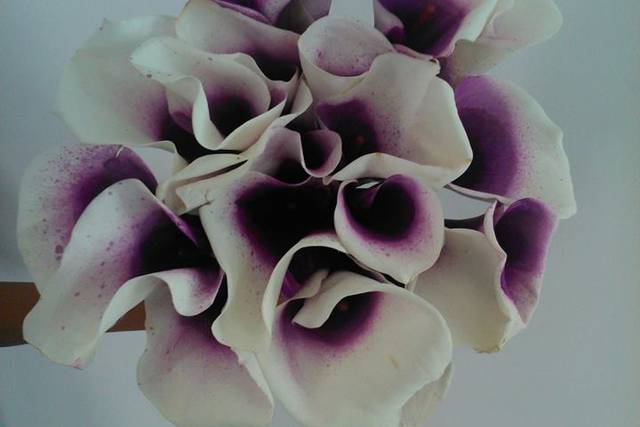 Flores seletas