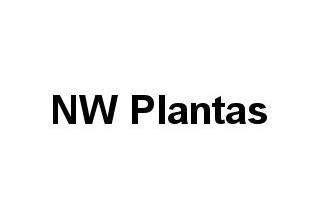 NW Plantas