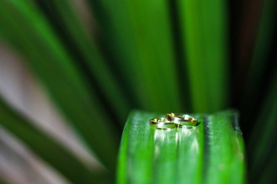 Luis Gustavo Fotografia