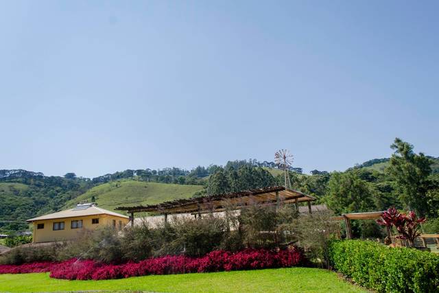 Go Organic Experience